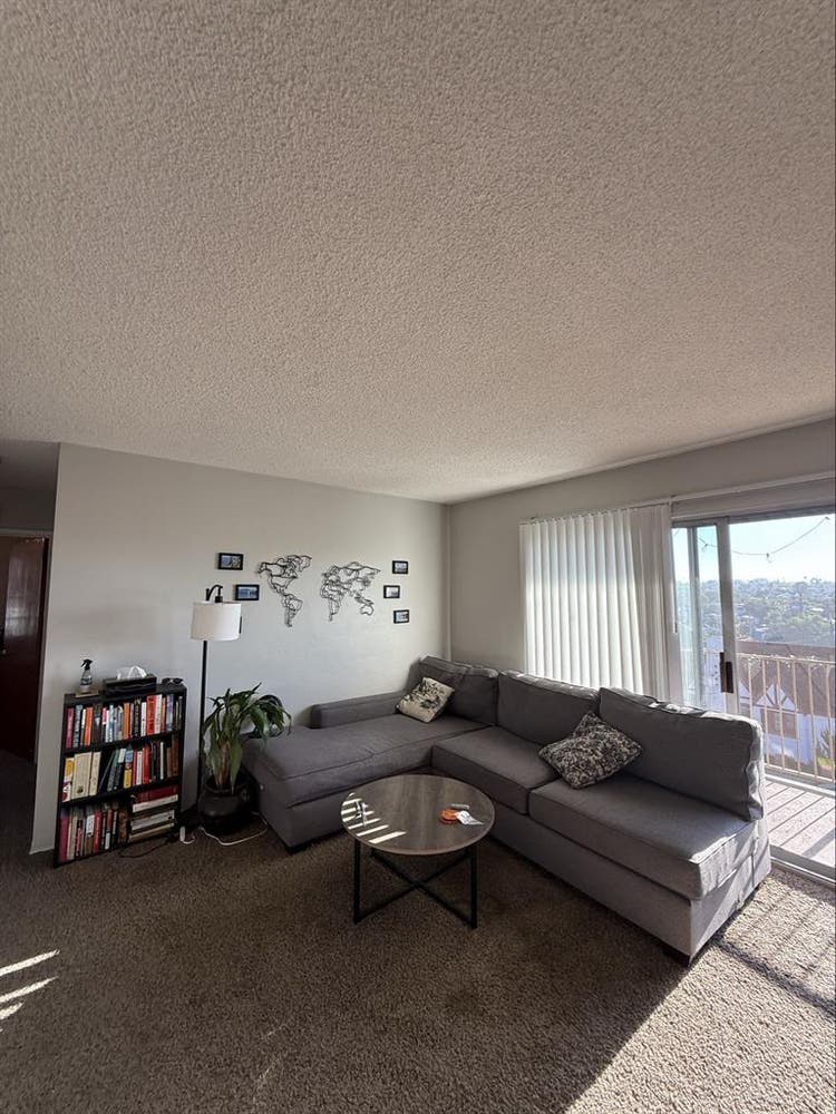 North Park Oct 1st Roommate/friend!