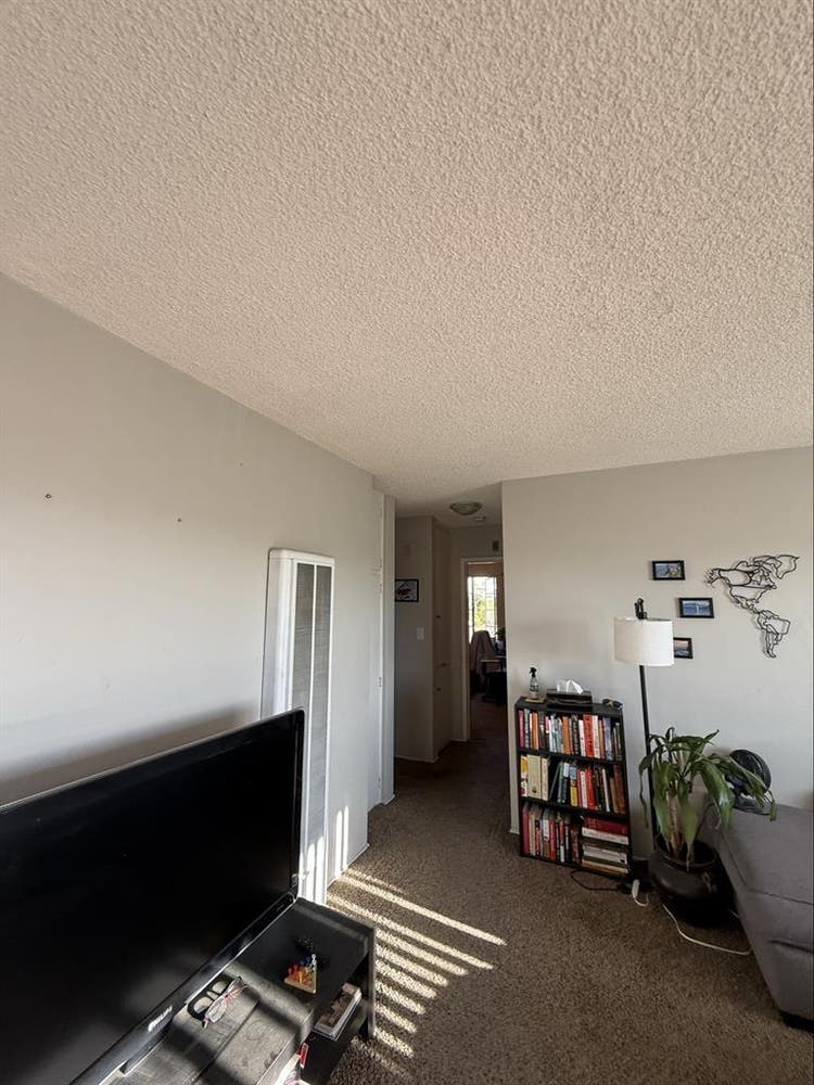 North Park Oct 1st Roommate/friend!