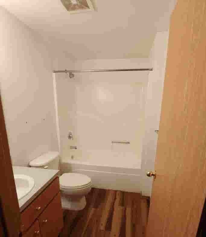 Roommate wanted