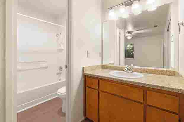 RENT/SHARE B APARTMENT