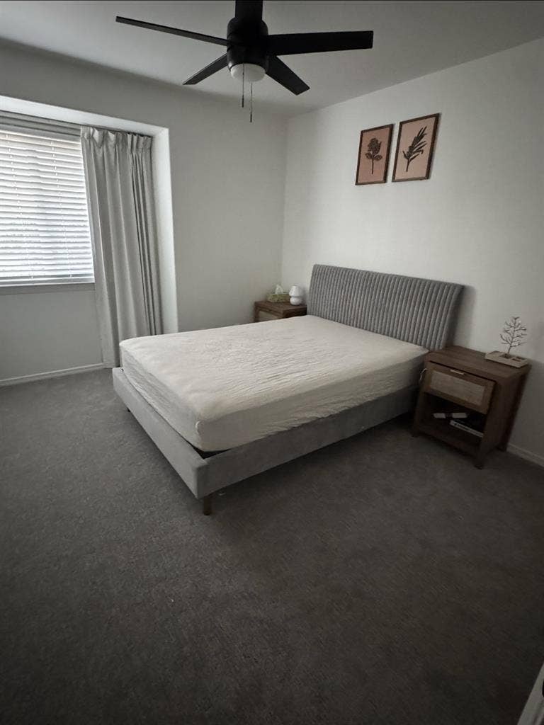 Roomate needed