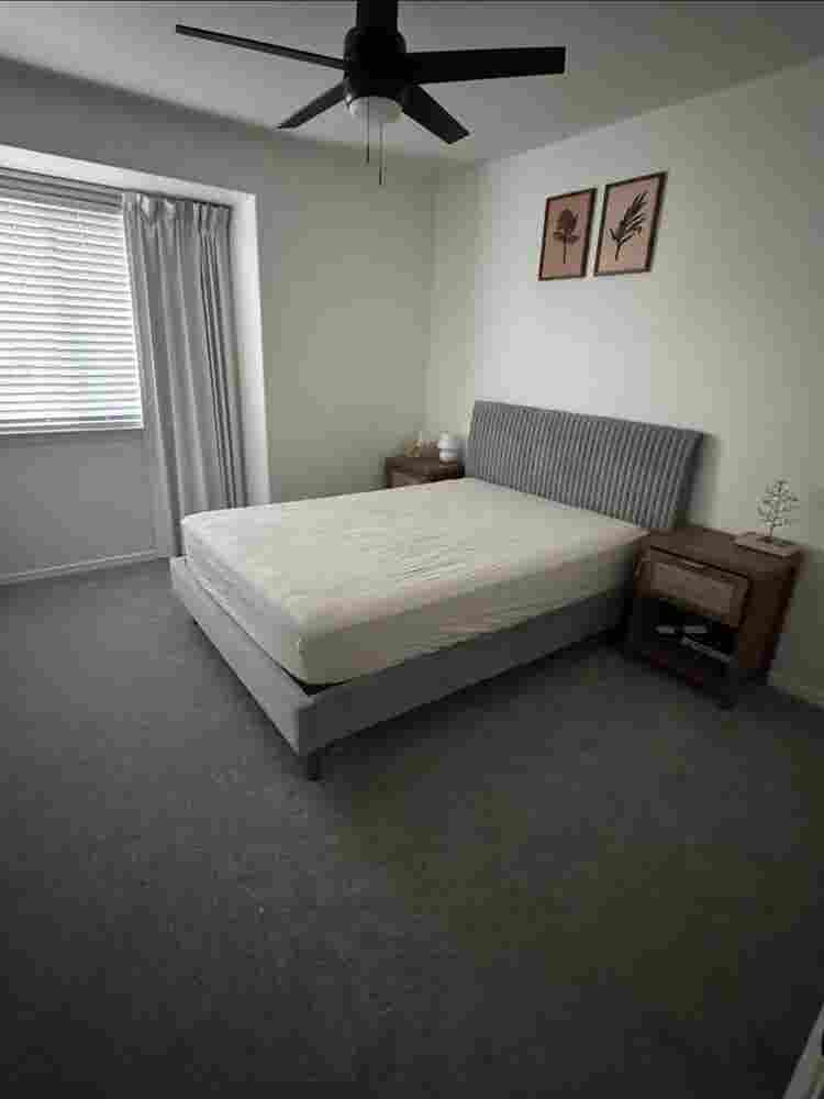 Roomate needed