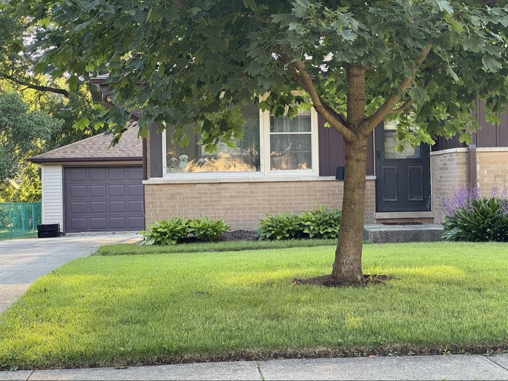 Roommate needed for November!