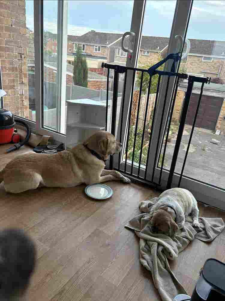 Two rooms available