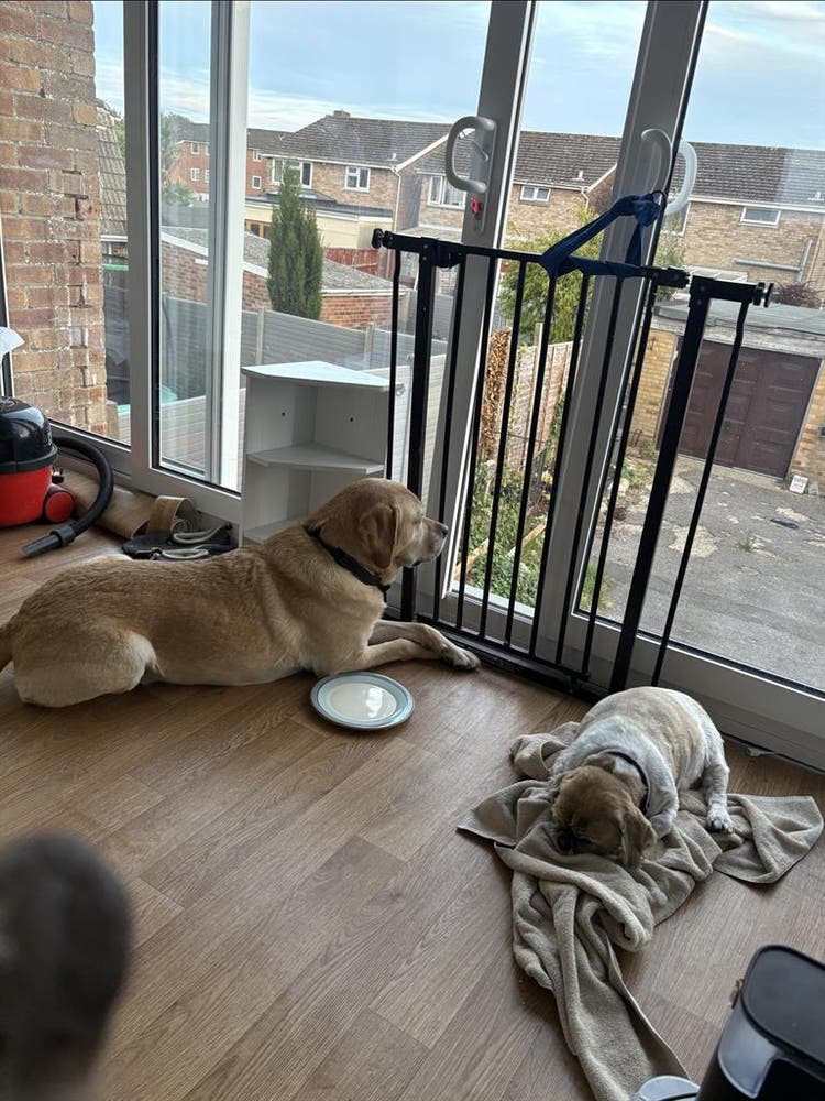 Two rooms available
