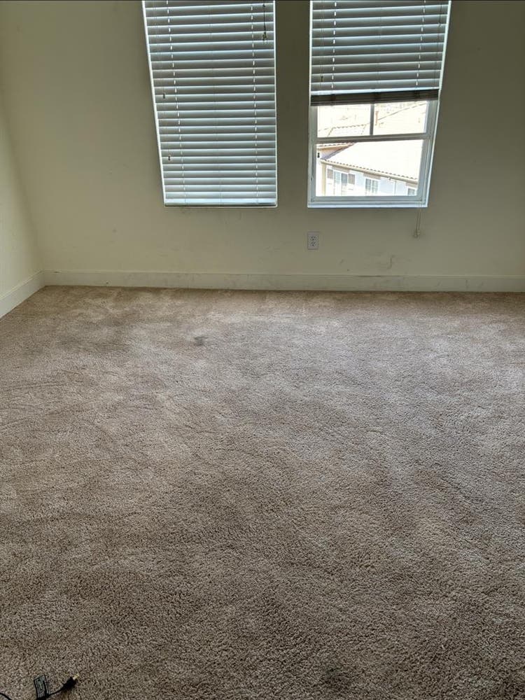 Roomate?