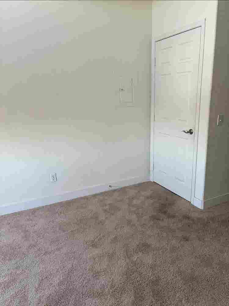 Roomate?