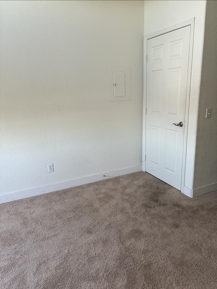 Roomate?