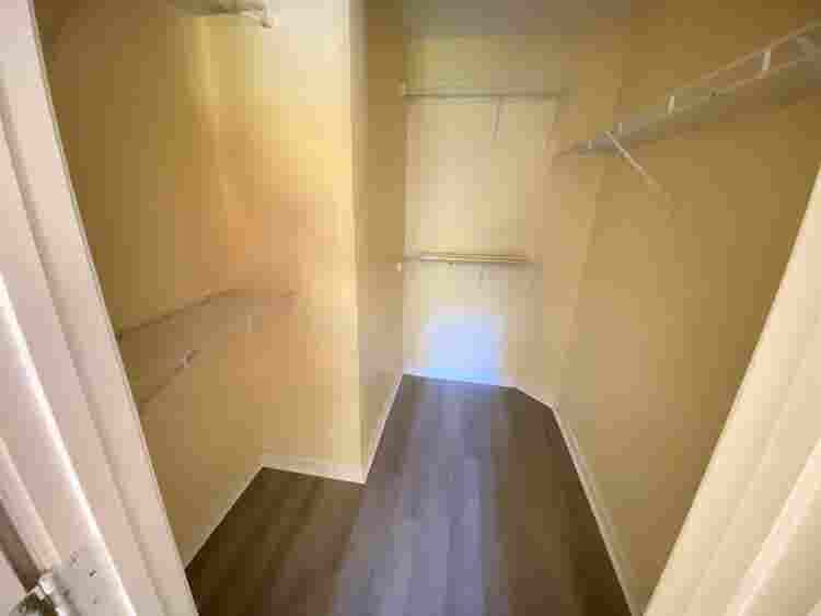 3 BR in Raleigh