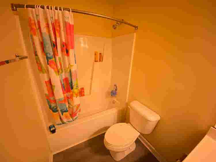 3 BR in Raleigh