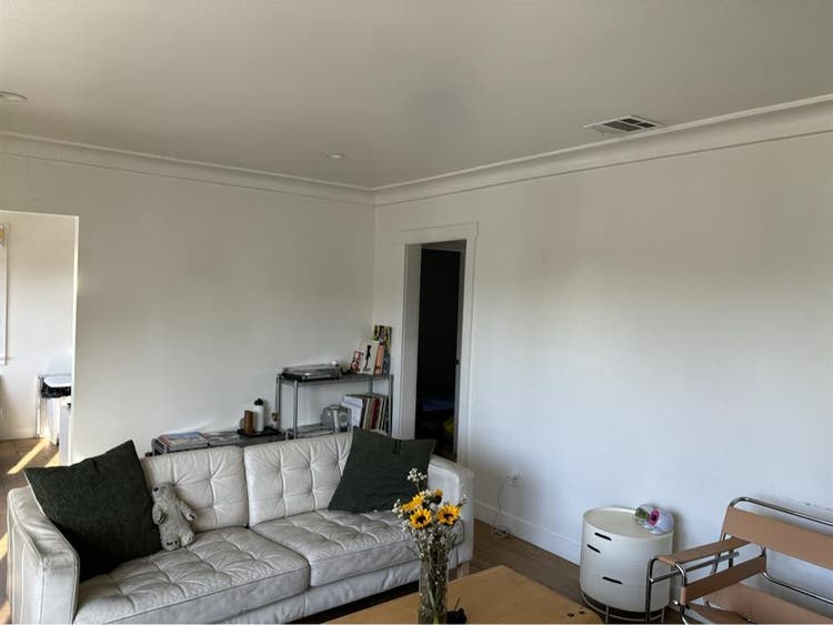 Looking for roommate!