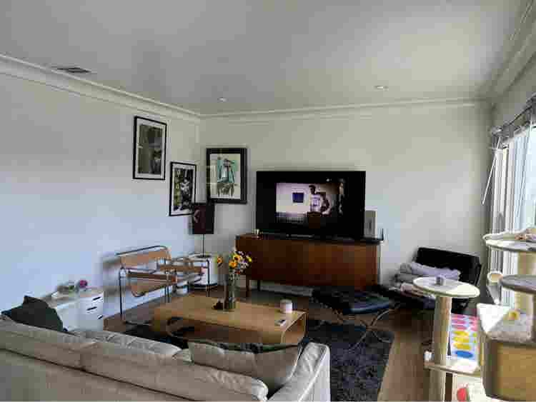 Looking for roommate!