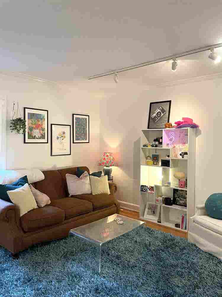 Coolidge Corner Sublet