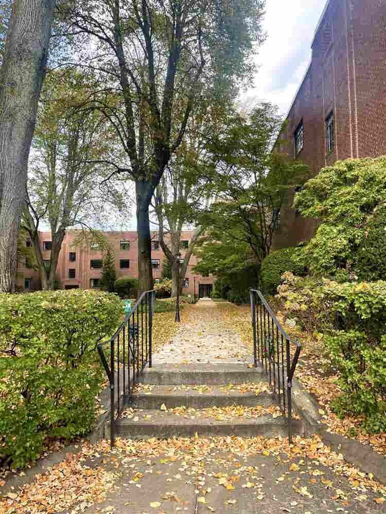 Coolidge Corner Sublet