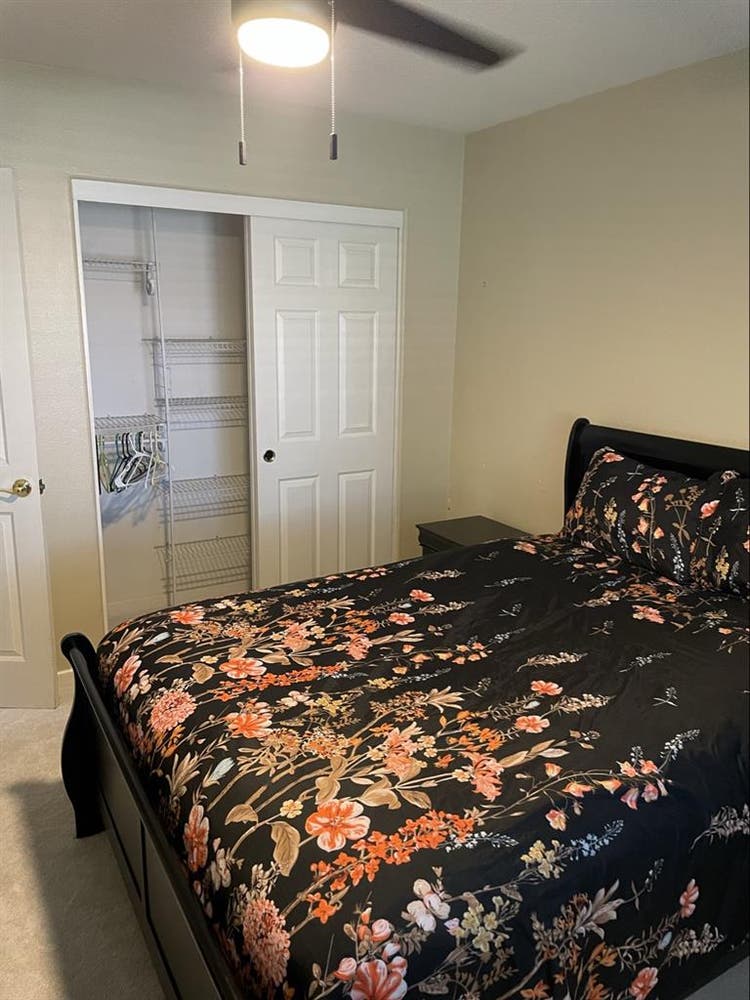 Roommate Wanted