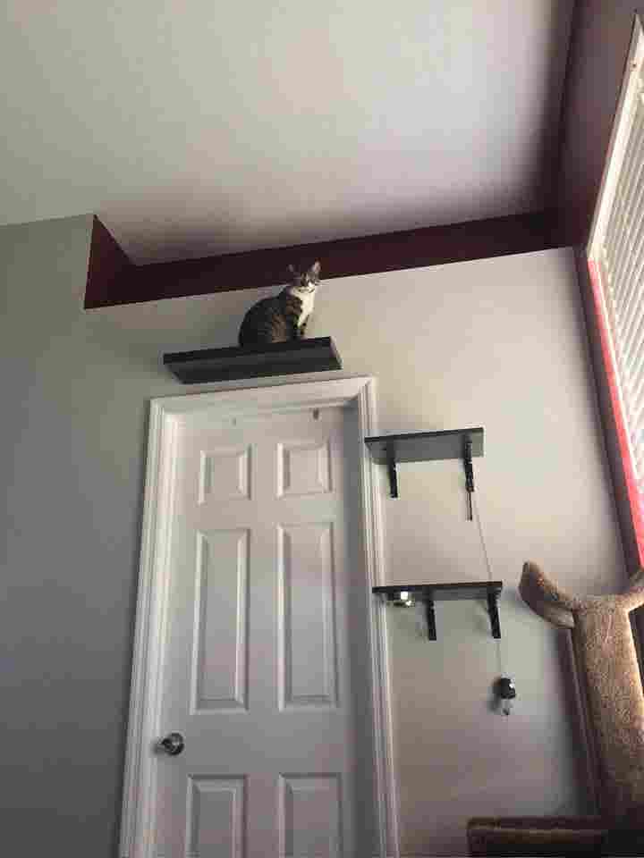 Room for rent in my home