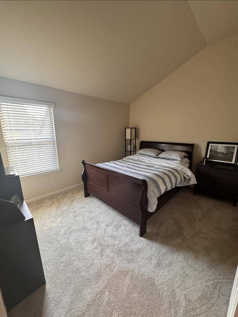 Need a cool, low key, clean roomie.