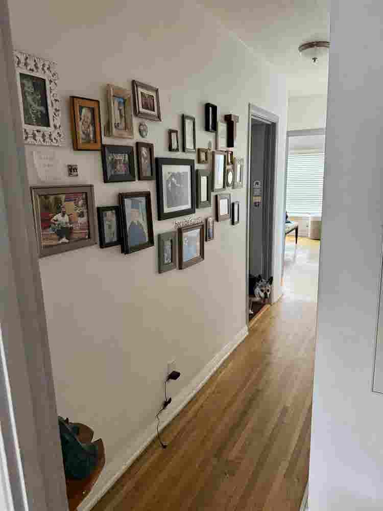 Room for rent in Venice home!