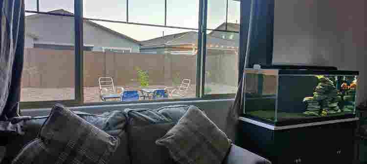 A Room in Queen Creek