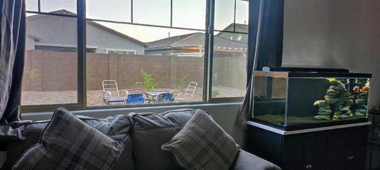 A Room in Queen Creek