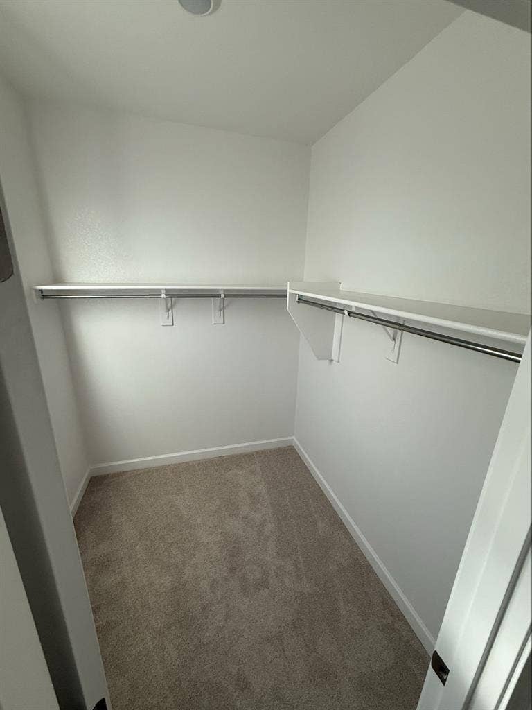 Private room/bathroom + Loft