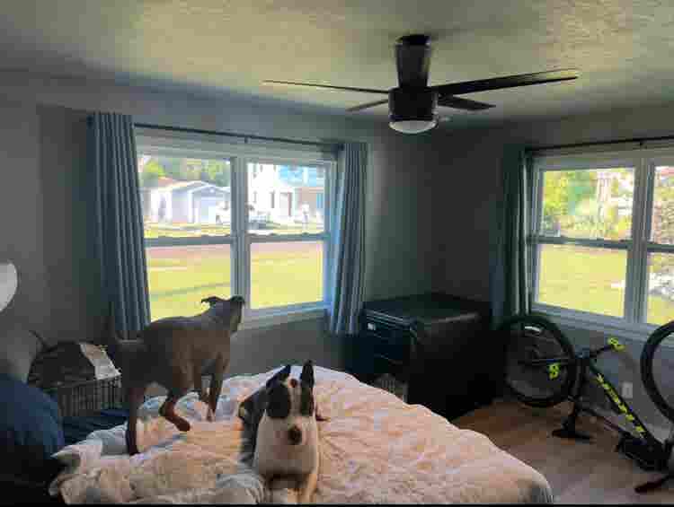 Roommate for  in St Pete