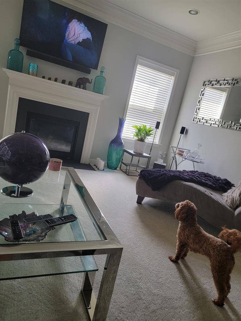 Room or Basement for Rent