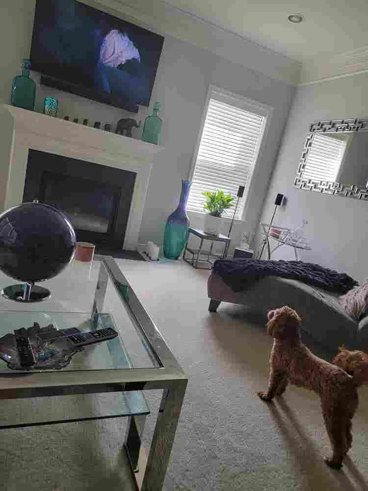 Room or Basement for Rent