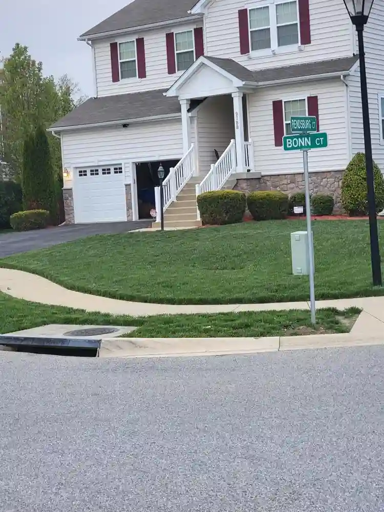 Room or Basement for Rent