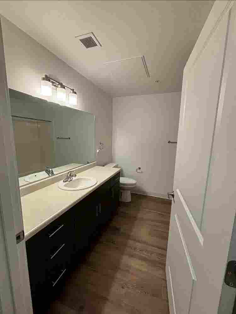 Private room and bathroom for rent