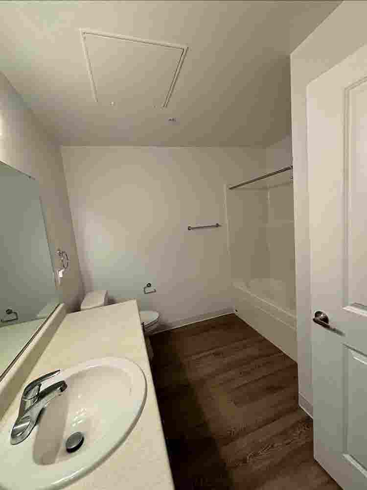 Private room and bathroom for rent