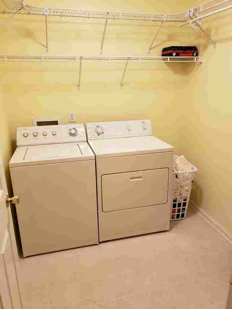 PROFESSIONAL ROOMMATE WANTED