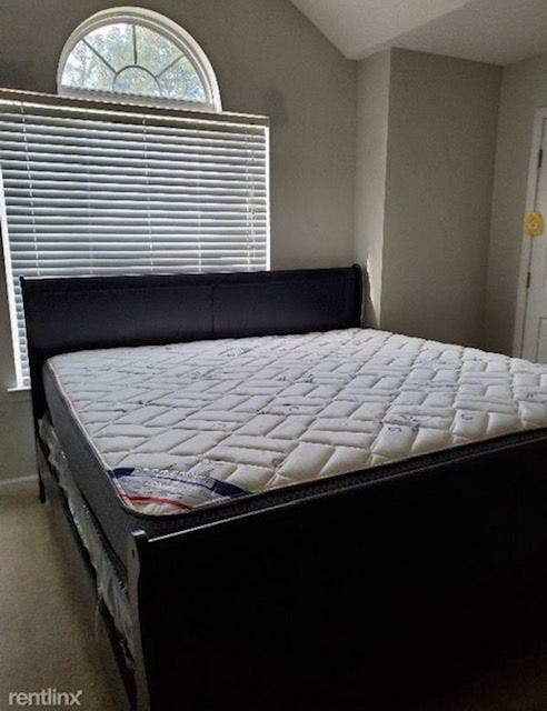 PROFESSIONAL ROOMMATE WANTED