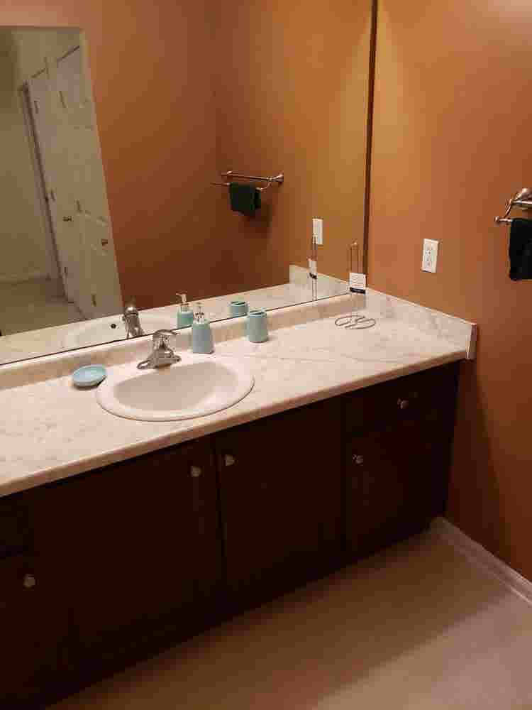 PROFESSIONAL ROOMMATE WANTED