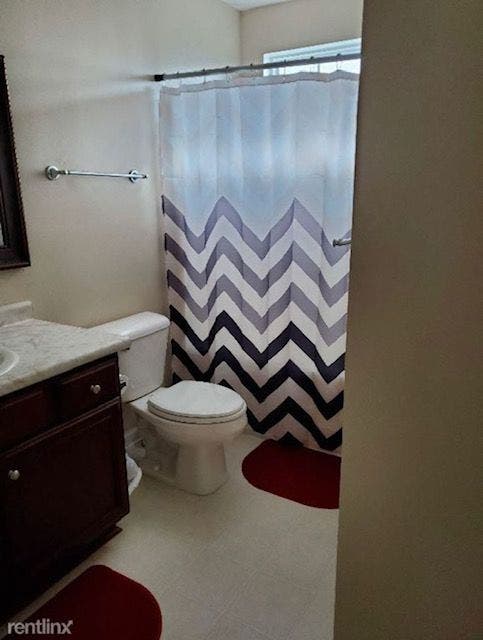 PROFESSIONAL ROOMMATE WANTED