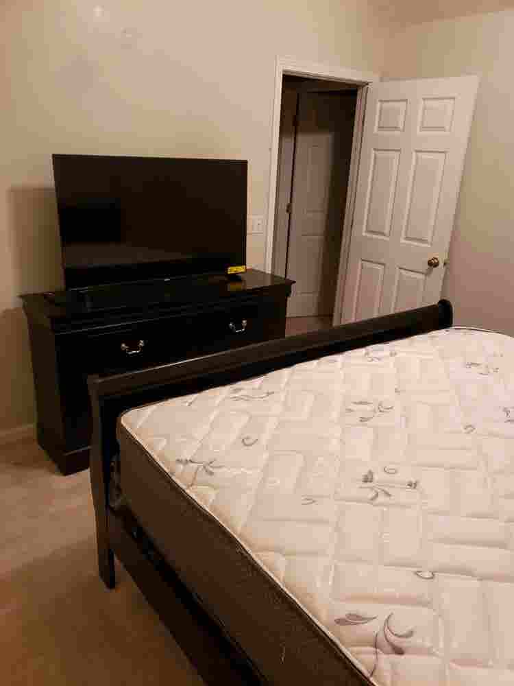 PROFESSIONAL ROOMMATE WANTED