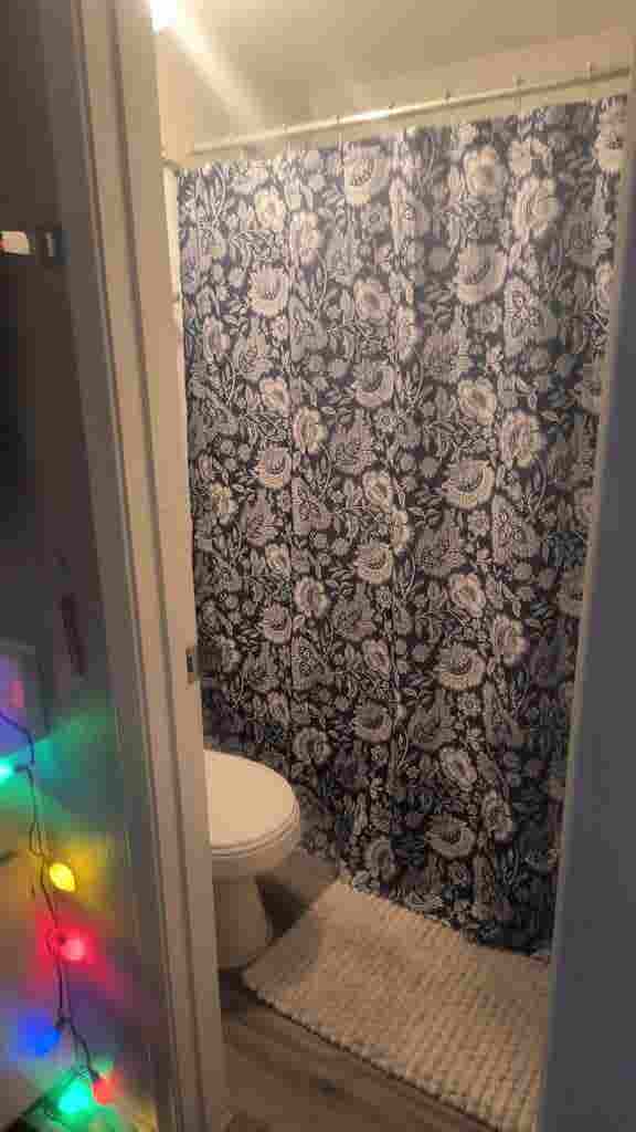 Roommate needed!