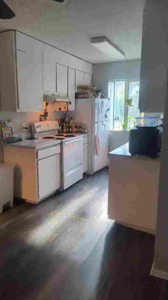 Roommate needed!