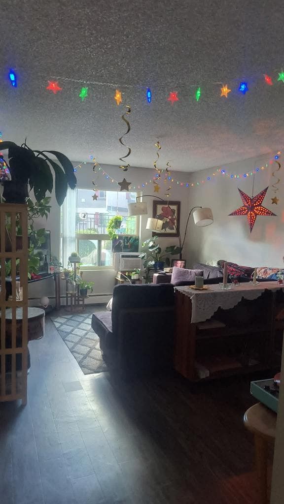 Roommate needed!