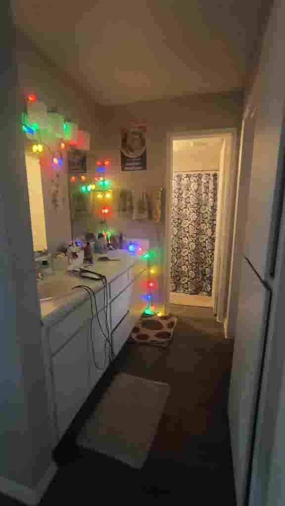 Roommate needed!