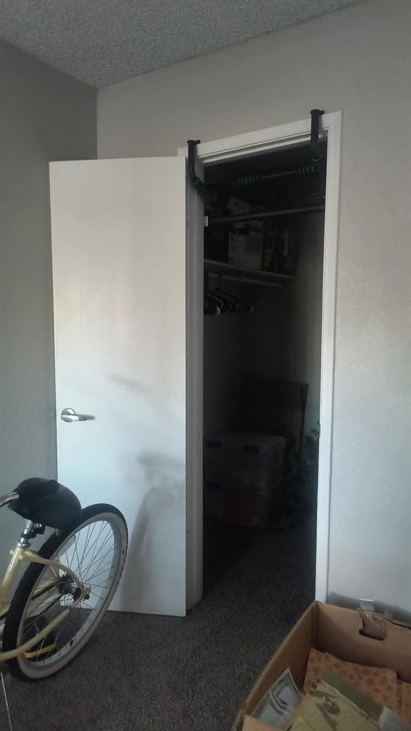 Roommate needed!
