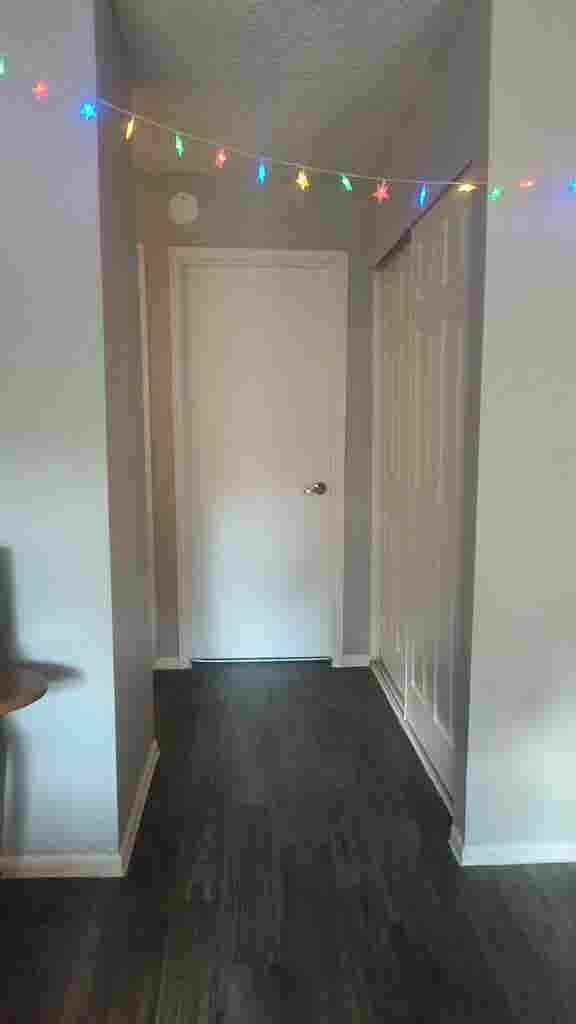 Roommate needed!