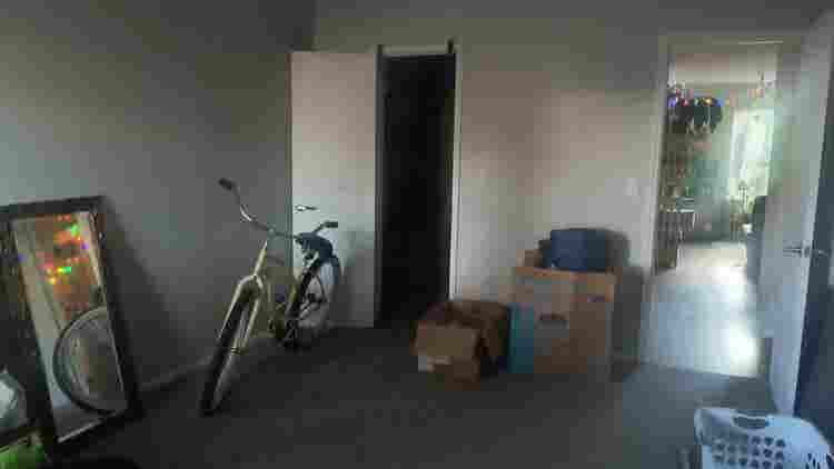 Roommate needed!