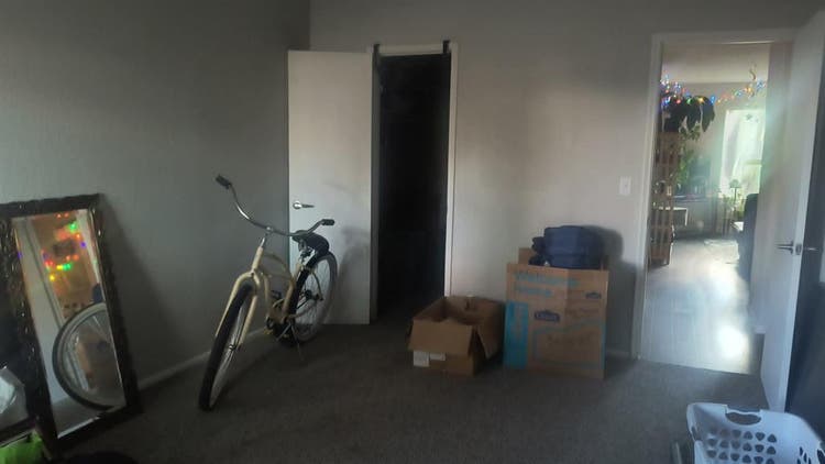 Roommate needed!