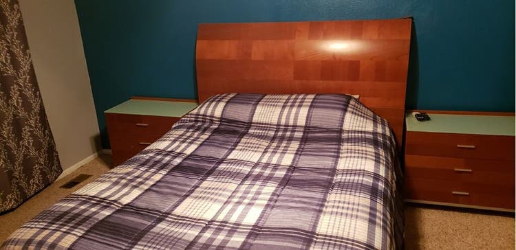 PROFESSIONAL ROOMMATE WANTED