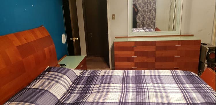PROFESSIONAL ROOMMATE WANTED