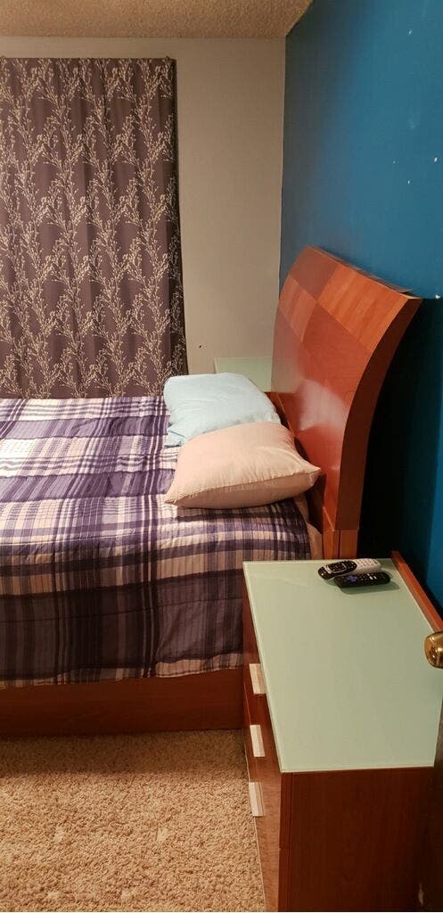 PROFESSIONAL ROOMMATE WANTED