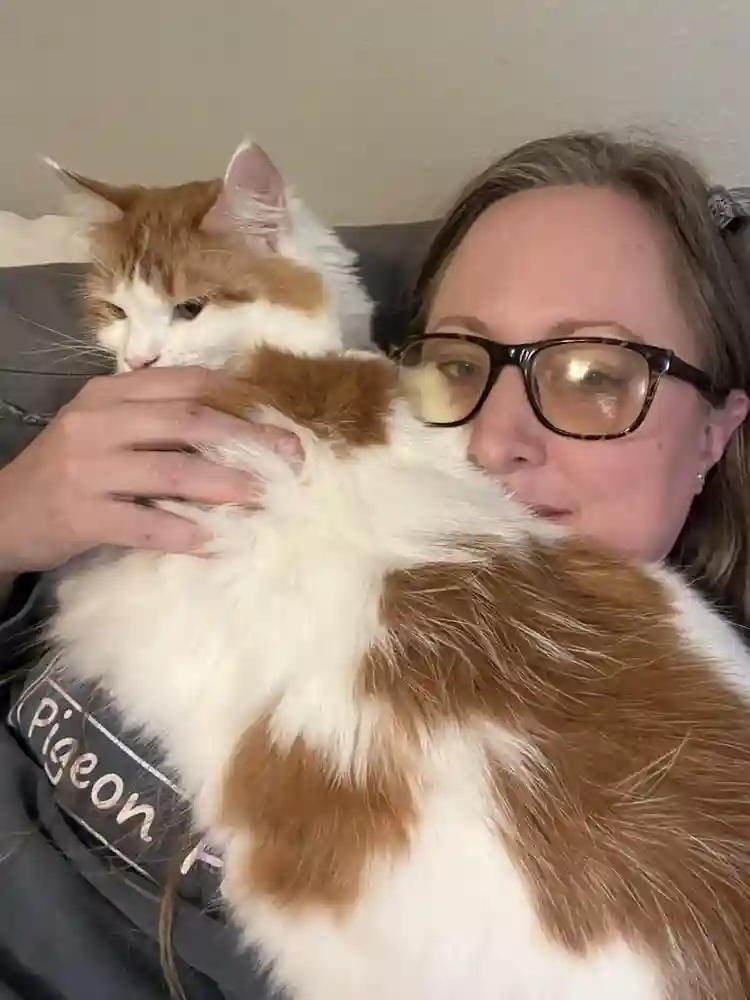 Roommate needed in cool springs