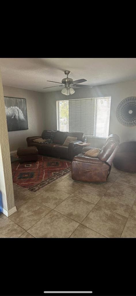 Spacious Chandler Room