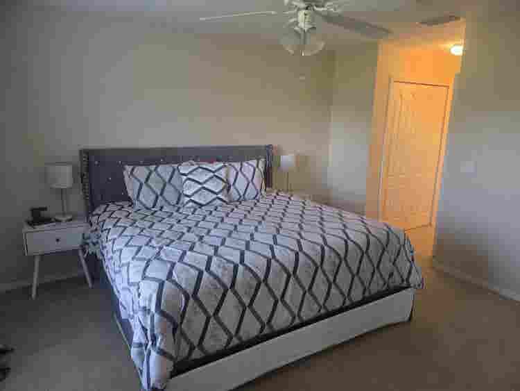 Looking for a roommate